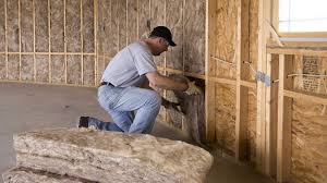 Best Soundproof Insulation  in Shongopovi, AZ